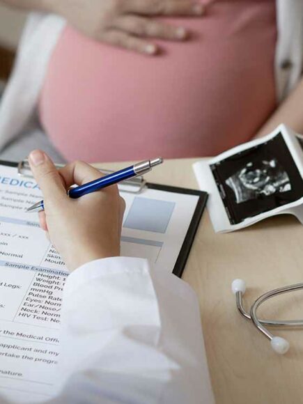 Fisiología del Embarazo (Certificado por la Universidad Nebrija con 2 ECTS)