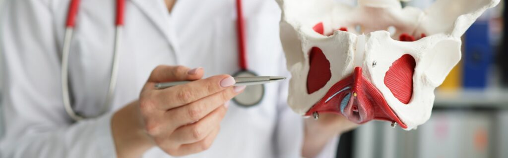 Conoce cómo fortalecer el suelo pélvico con ejercicios y actividades