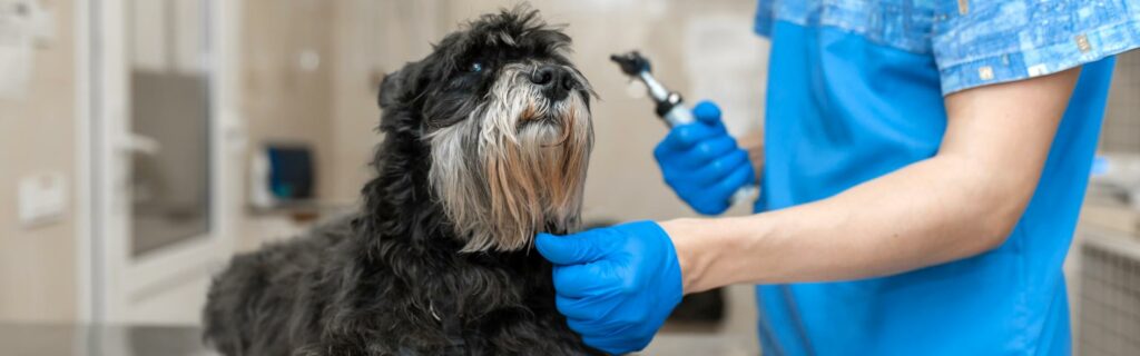 Descubre cuánto gana un ATV en España actualmente