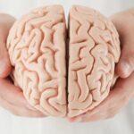 ¿Por qué se celebra el Día Mundial del cerebro?